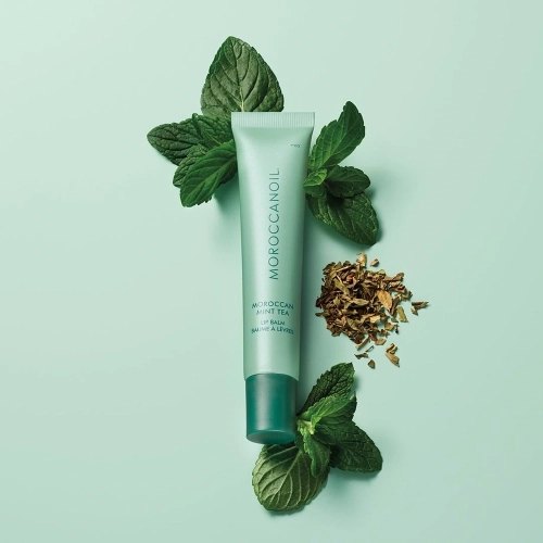 Moroccanoil Lip Balm Argan Butter Mint Tea - nawilżający balsam do ust z olejkiem arganowy, miętowy 15 g 