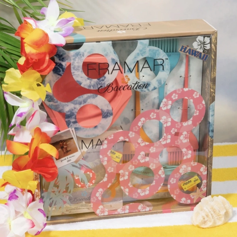 Framar Baecation Colorist Kit - zestaw do koloryzacji włosów